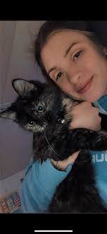 Lost cat Miya in Andover, Ohio?