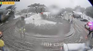 Yang ming marine transport corporation (yang ming) have observed our core value of 'teamwork, innovation, honesty and pragmatism' in enhancing our transportation expertise and service quality. Iojxgixtqrm1um