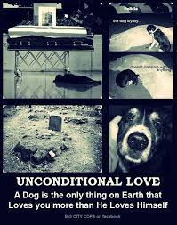 It Makes Me Cry Knowing That We Can Never Give Them What They Give Us Such An Unconditional Love Dog Love Dogs I Love Dogs
