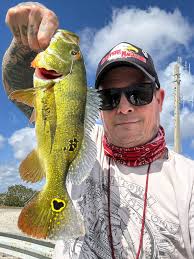 Fishing spots in Sunrise/Lauderhill for peacocks and snakehead