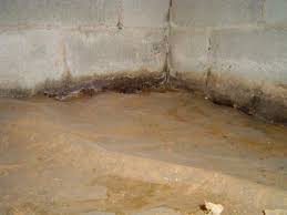 Your crawl space is an important part of your home and keeping it in good condition is paramount for your home's structural stability and your family's health. 4 Ways Moisture Enters A Vented Crawl Space Energy Vanguard