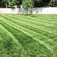 Maybe you would like to learn more about one of these? Epic Lawn Care Reviews Lawn Services At 204 Wilson Downing Road Lexington Ky Usa Lexington Ky