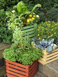 Growing Vegetables In Containers Better Homes Gardens