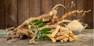 Manfaat ini berasal dari kemampuan tanaman ini dalam memengaruhi kadar testosteron di tubuh. Tongkat Ali Untuk Wanita Ia Mampu Tingkatkan Peluang Untuk Hamil