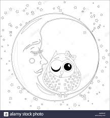 Malbuch Fur Erwachsene Und Altere Kinder Farbung Seite Mit Eine Eule Auf Dem Mond Unter Den Sternen Stockfotografie Alamy