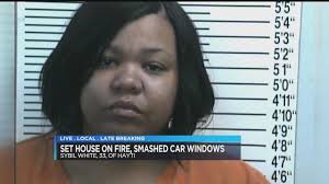 Hayti woman arrested