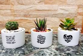 Qué significa regalar un cactus según el feng shui. Los Cactus Como Las Personas Hay Que Cuidarlas