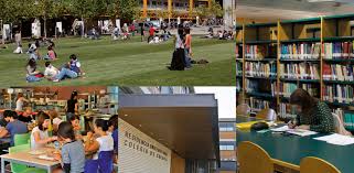 They will be more than happy to help! Servicios De Campus Universidad De Salamanca