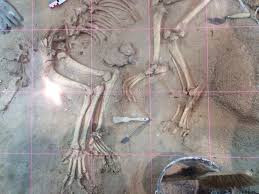 Aire Jardin Des Causses Du Lot Agence Scarabee