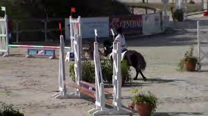 GRANDPRIX TV - Lamotte Beuvron Open de France Poney 2013 - CLSO_CCE_3B_Benj  SO CCE 3B Benjamin - LOOPING - EVA MARTINEZ