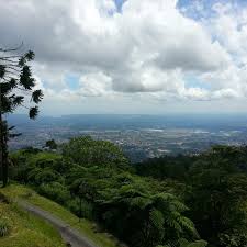 Check spelling or type a new query. Cendana Cafe Puncak Bukit Larut 2 Tips From 39 Visitors