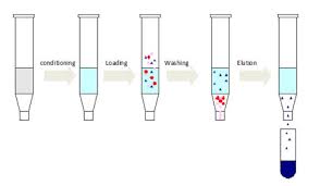 Extracting trimyristin from nutmeg through isolation introduction commonly used to isolate and purify a product, extraction is an indispensable laboratory technique. Solid Phase Extraction