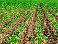 Sims 2 häuser zum nachbauen,sims 3 haus zum nachbauen. Bei Sims 3 Garten Anlegen So Geht S