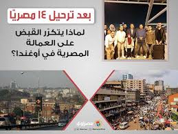 بعد ترحيل 14 مصري ا لماذا يتكر ر القبض على العمالة المصرية مصراوى