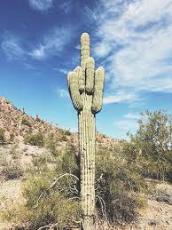 We did not find results for: Pin On Design And Everything Else