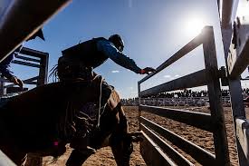 man vs bull pro bull riding at owensboro sportscenter video