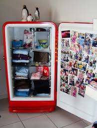 How To Recycle Old Refrigerator Old Refrigerator Refrigerator Makeover Vintage Refrigerator