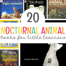 Join green kid crafts today! 20 Nocturnal Animals Book List Mrs Jones Creation Station