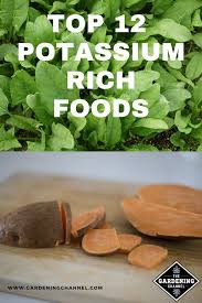 Potassium is one important mineral that helps maintain the electrolyte balance in the body. 12 Top Vegetable And Food Sources Of Potassium Gardening Channel