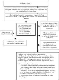 Smoking is the number one cause of lung cancer. Inflammation Apoptosis And Necrosis Induced By Neoadjuvant Fas Ligand Gene Therapy Improves Survival Of Dogs With Spontaneous Bone Cancer Molecular Therapy