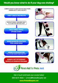 You will find everything you need to make sure your furry friend is well taken care of. How To Help A Choking Dog