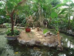 Center Parc Sologne Avis De Voyageurs Sur Center Parcs Les Hauts De Bruyeres Chaumont Sur Tharonne Tripadvisor Center Parc Parcs Bruyeres