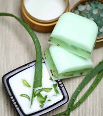Aloe vera saft kaufen im drogeriemarkt. Aloe Vera Gel Selber Machen Und Naturlich Haut Und Haare Verwohnen