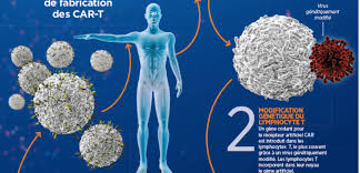 La leucémie myéloïde aiguë (lma) est un cancer des cellules hématopoïétiques de la moelle la chimiothérapie est le principal traitement. Leucemie Le Traitement Genetique Fait Ses Preuves Sciences Et Avenir