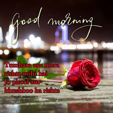 42 love quotes in hindi. 38 Good Morning Hd Flower Images For Free Photo Download For Whatsapp Pics Pagal Ladka Com