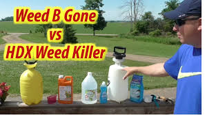 Check spelling or type a new query. Weed Killer Challenge Vinegar Weed B Gone Vs Hdx Youtube