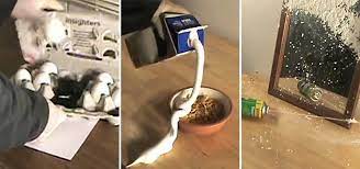 5 Pranks You Ve Gotta Try On April Fool S Day Practical Jokes Pranks Wonderhowto