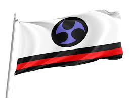 Amazon.com : Flag of Ryukyu, Unique Design Print, Flags for Indoor &  Outdoor Use, Durable Stitching, Bright Colours, Reinforced Fabric, Size -  3x5Ft  ...