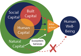 It uses a combination of practices and control methods with the aim of preventing problems from occurring and reducing the need for pesticide intensive activities such as broadacre spraying. Mapping Ecosystem Services