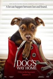 Check spelling or type a new query. A Dog S Way Home Wikipedia