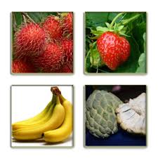 Broadcast message of the day motipasi, tips kesehatan, serius, bercanda, marah, saru, sampai sampah yang sering diterima lewat messenger atau sosial media, yang penting broadcast, karena kita senang berbagi Tebak Nama Buah 3 0 Apk Free Puzzle Game Apk4now