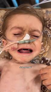 Sydney Driver Offers Free Rides to Palestine Gaza March