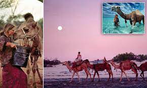 467 x 700 jpeg 60 кб. Photographs Capture Robyn Davidson S 1700 Mile Trek Across Australia Daily Mail Online