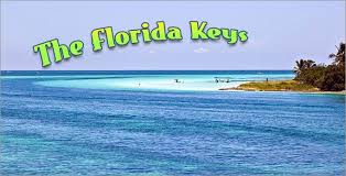 Pet Friendly Florida Keys Travel Fun Florida Keys Dog Beach
