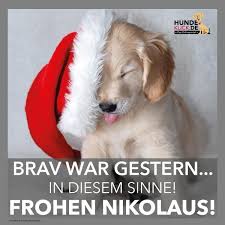 Frohen Nikolaus Nikolaustagbilder Frohen Nikolaus In 2020 Nikolaus Spruch Lustige Weihnachtsbilder Nikolaus Lustig