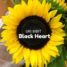 Telusuri galeri 15.289 gambar bunga matahari untuk desainmu. 3 Butir Benih Bunga Matahari Hitam Sunflower Shopee Indonesia