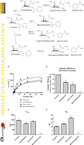 Major Cocaine Metabolites Cocaine Is Rapidly Converted Into