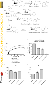 major cocaine metabolites cocaine is rapidly converted into