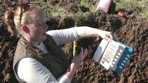 soil profiling color