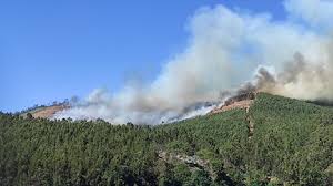 Jump to navigation jump to search. Dominado Violento Incendio Na Serta Que Chegou A Ser Combatido Por Oito Meios Aereos Portugal Correio Da Manha