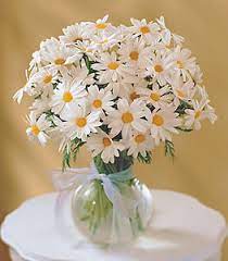 Learn about lung cancer early warning signs, symptoms and treatments. The Lung Cancer Alliance Flowers Gifts