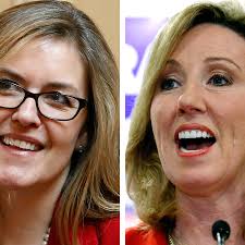 Gun control or gun rights? The answer may help determine whether Rep.  Comstock wins reelection