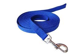 3m Long X 2cm Width Blue 10 Feet Long X 4 5 Inch Width Hulless Dog Leash Nylon Training Leash Dog Traction Rope Blue Dog Leashes For Small Dogs Great For Dog Training Play Camping Or Backyard Matt Blatt