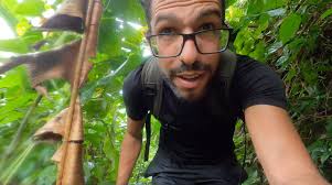 Welcome to the jungle........