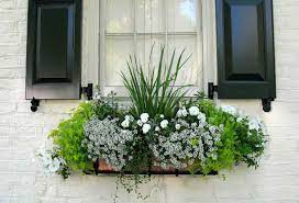 Check spelling or type a new query. 15 Gorgeous Flowering Window Box Ideas For Spring