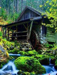Full Hd 3d Nature Wallpaper Android Download Peacock wallpaper full hd forest image.